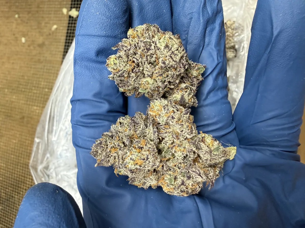 Unicorn Candy Flower